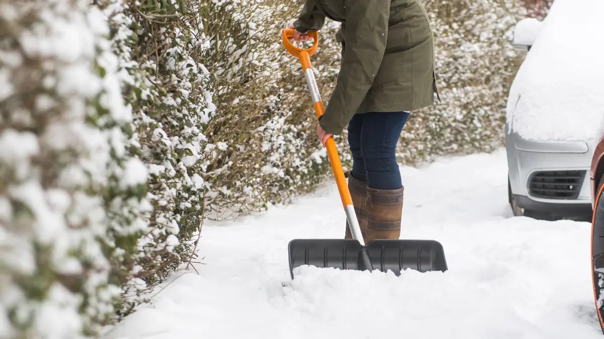 Eine Frau schippt Schnee auf dem Gehweg vor ihrem Haus: ILLUSTRATION - Schieben statt heben: Schnee lässt sich rückenfreundlicher zur Seite schieben, als anzuheben. (zu dpa: «So geht das Schneeschippen nicht auf den Rücken») Foto: Benjamin Nolte/dpa-tmn - Honorarfrei nur für Bezieher des dpa-Themendienstes +++ dpa-Themendienst +++