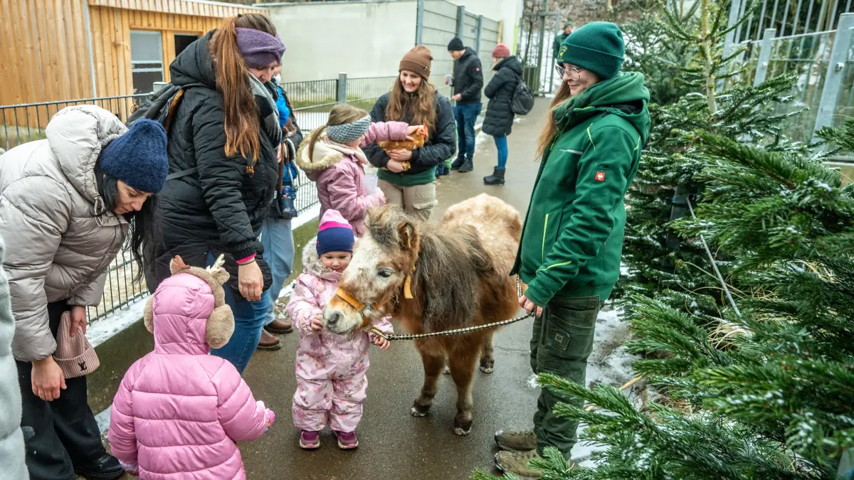 Dreikönigs-Treff im Göppinger Tierpark