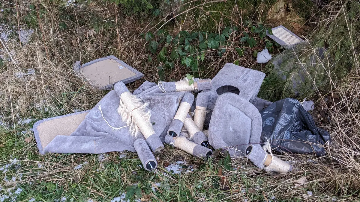 Müll im Wald bei Aufheim Senden