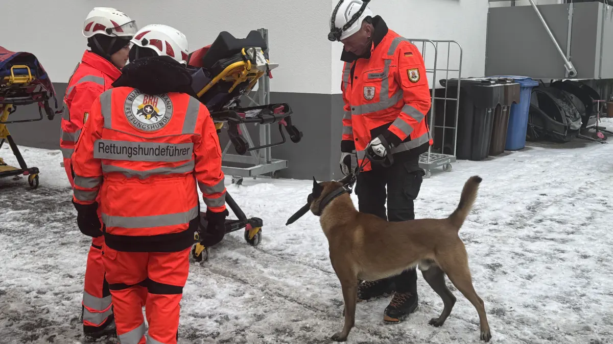 Auch Such- und Rettungshunde sind vor Ort im Einsatz, um nach möglichen Vermissten zu suchen.