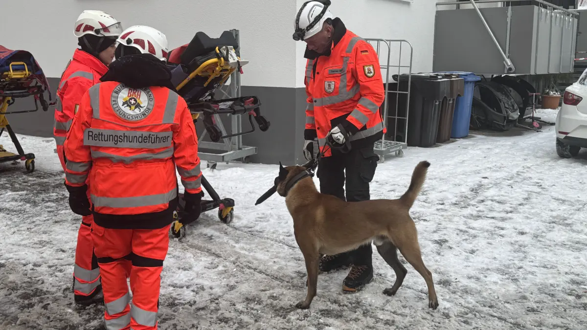 Auch Such- und Rettungshunde sind vor Ort im Einsatz, um nach möglichen Vermissten zu suchen.