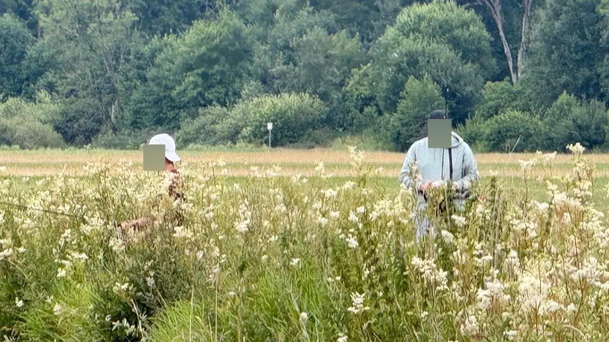 Fischwilderer auf frischer Tat zumindest mit dem Fotoapparat geschnappt. Dass die Täter auch angemessen bestraft werden, ist schwierig.