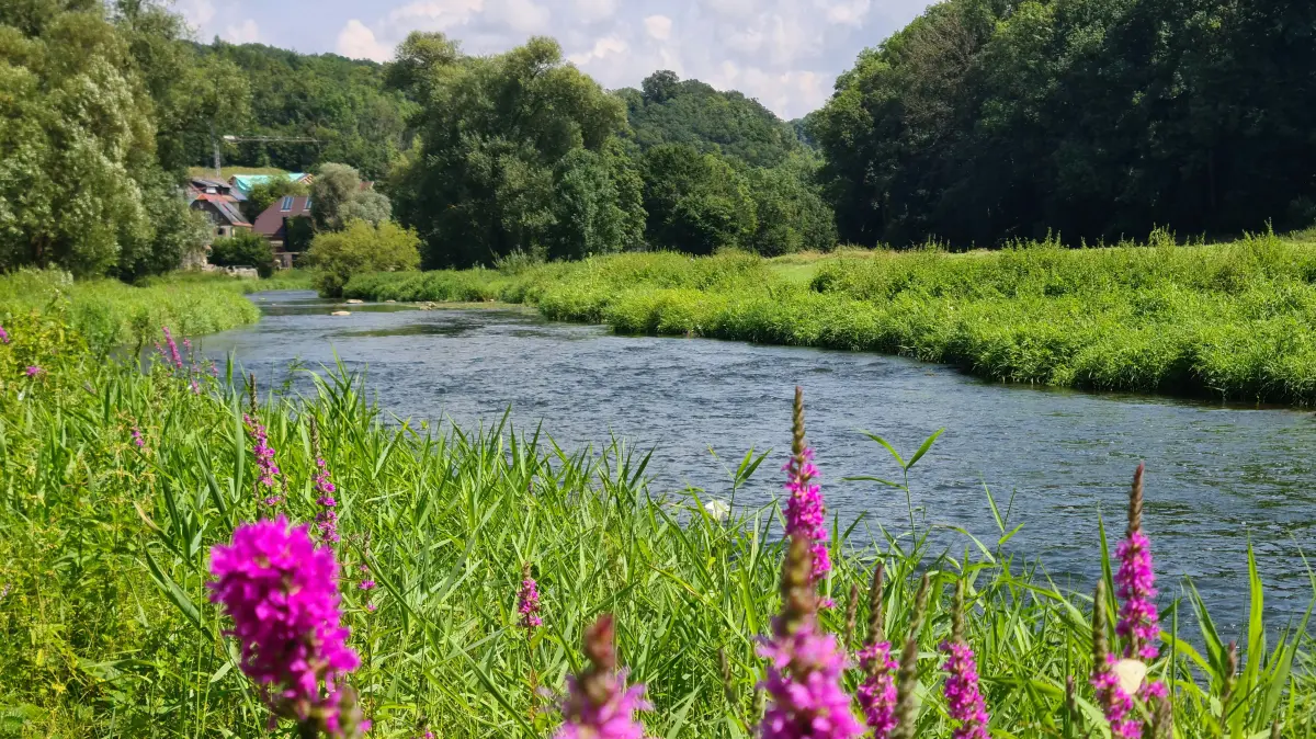 Leserfoto Kirchberg Jagst bei Mistlau: Jagst