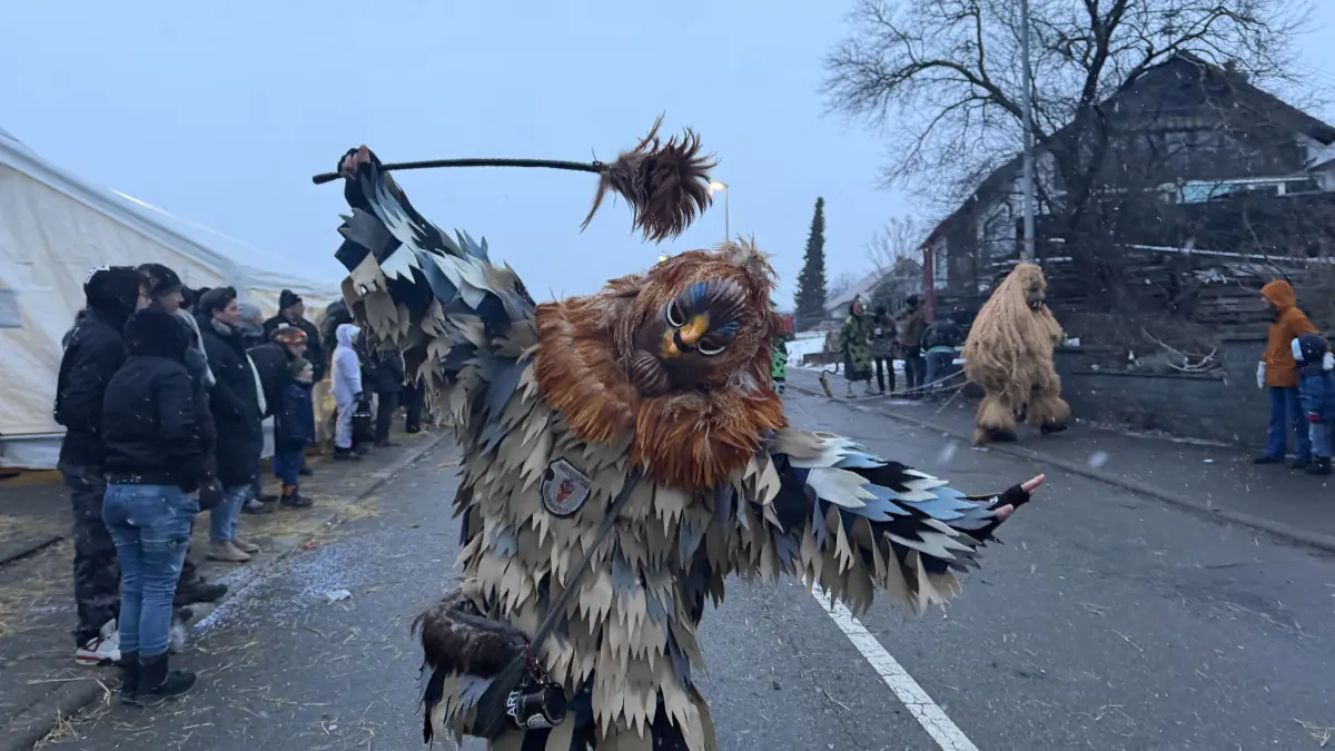 Jubiläumsumzug der Lenau Hexa in Steinhofen