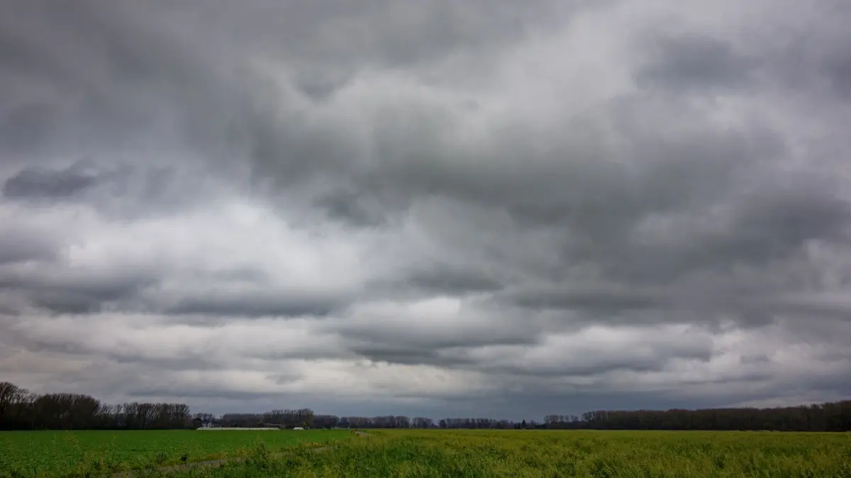 Regenwolken: ARCHIV - 30.11.2025, Nordrhein-Westfalen, Köln: Ein grauer Himmel erstreckt sich über die Landschaft im Naturschutzgebiet Worringer Bruch. (zu dpa: «Nach der Glätte kommt graues Regenwetter») Foto: Henning Kaiser/dpa +++ dpa-Bildfunk +++