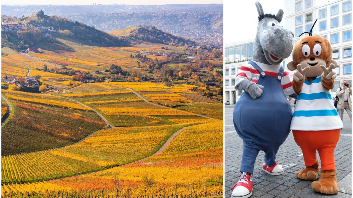 Schwäbisch in Baden-Württemberg, Landschaft Region Stuttgart, Äffle und Pferdle