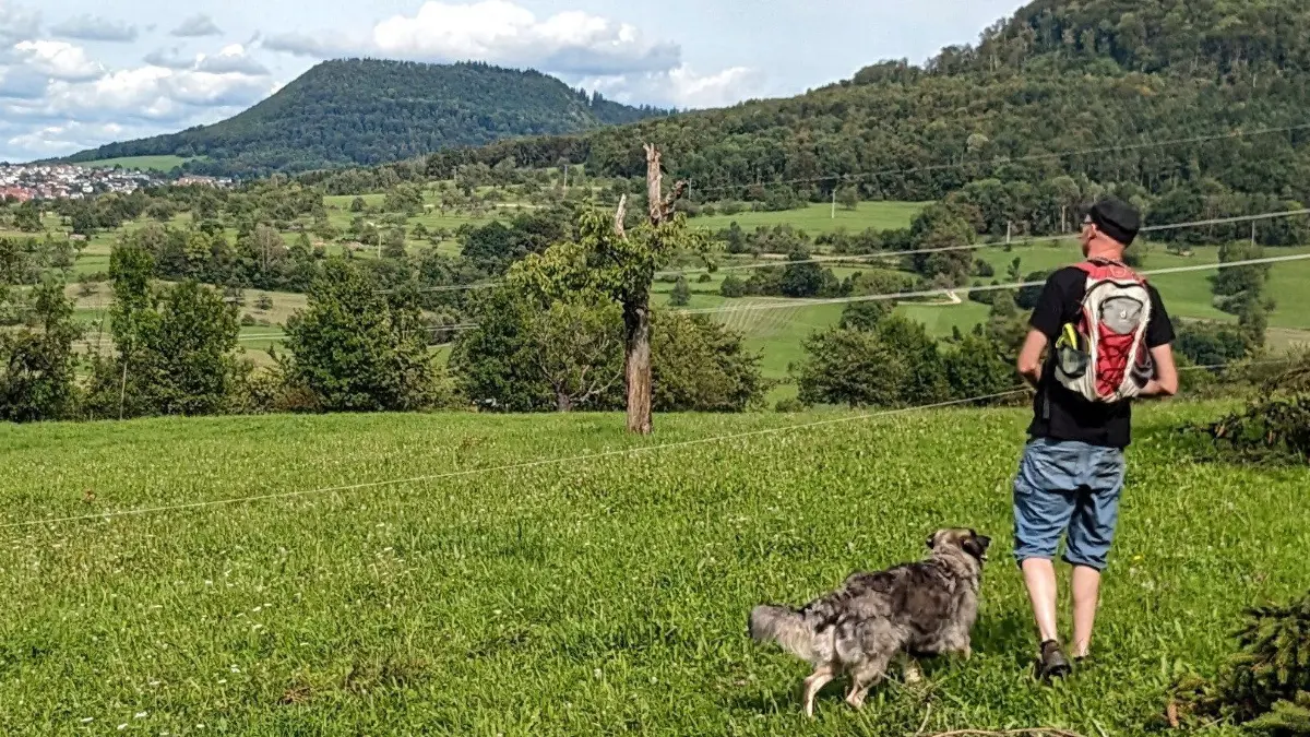 (ohne Überschrift): Vorsicht: Dieses Foto ist möglicherweise nur für den einstigen Verlag Schwäbisches Tagblatt verwendbar. Wanderweg Farrenberg
Mössinger Streuobstwegle und Mössinger Leisawegle
dazu Streuobst
Bilder: Eike Freese, September 2023