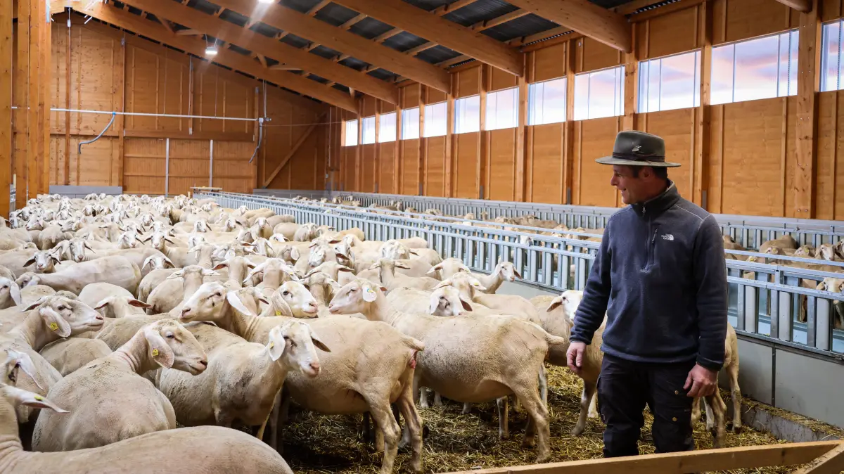 Schäfer Marcel Kiefer kann jetzt alle Tiere an einem Ort versorgen, was das Management und die Versorgung erleichtert.