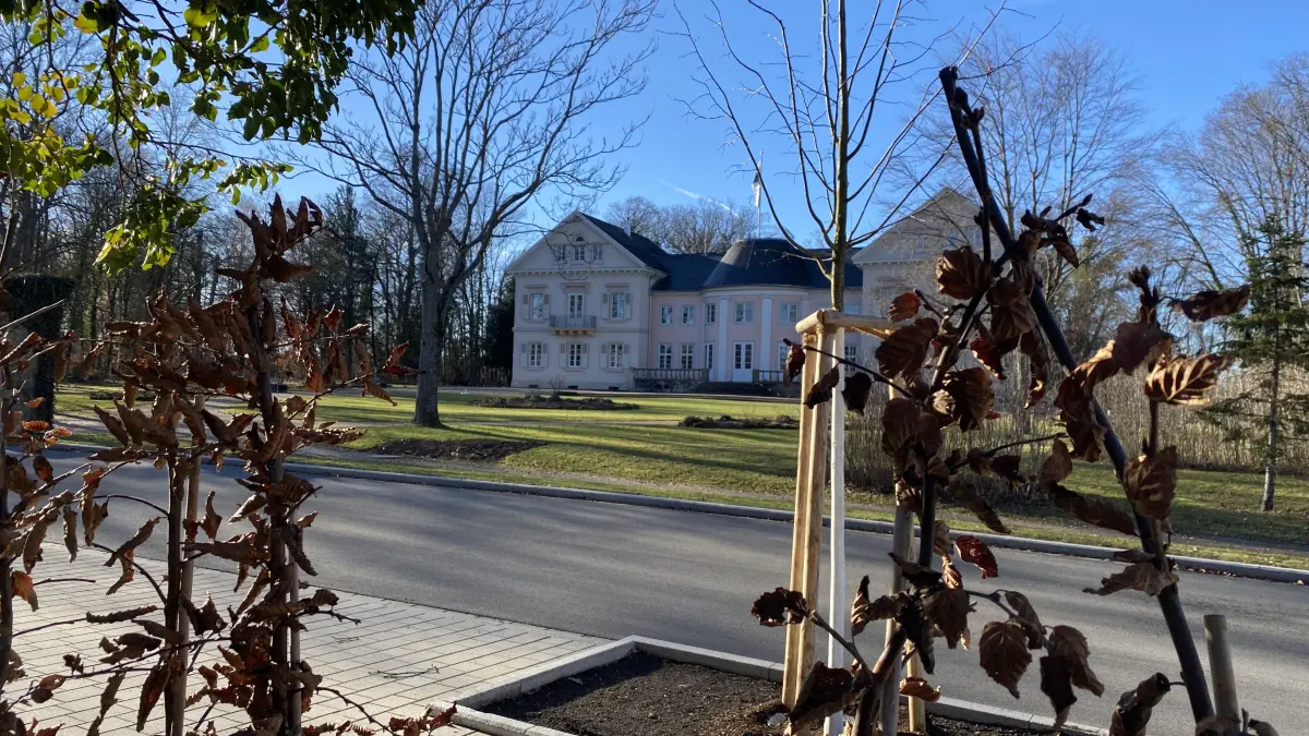 Durchblick zur Villa Eugenia: Auf der einen Seite der Zollernstraße - hier vor dem ehemaligen fürstlichen Forstamt - sind schon Hecken nachgepflanzt worden. Über die Fürstengartenseite soll der Hechinger Gemeinderat demnächst entscheiden.