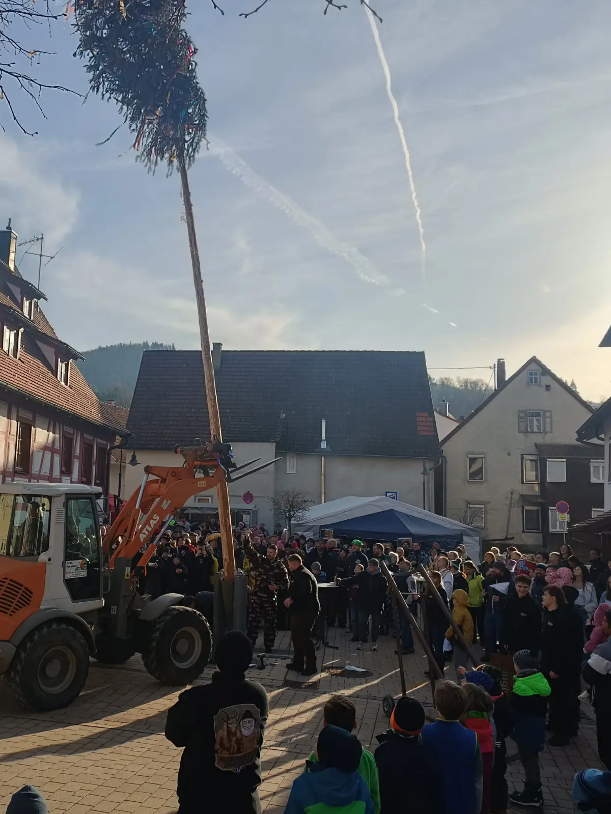 Er steht! Mit maschineller Hilfe war der Narrenbaum der Junginger Zunft am Samstagnachmittag flott in die Höhe geschafft.