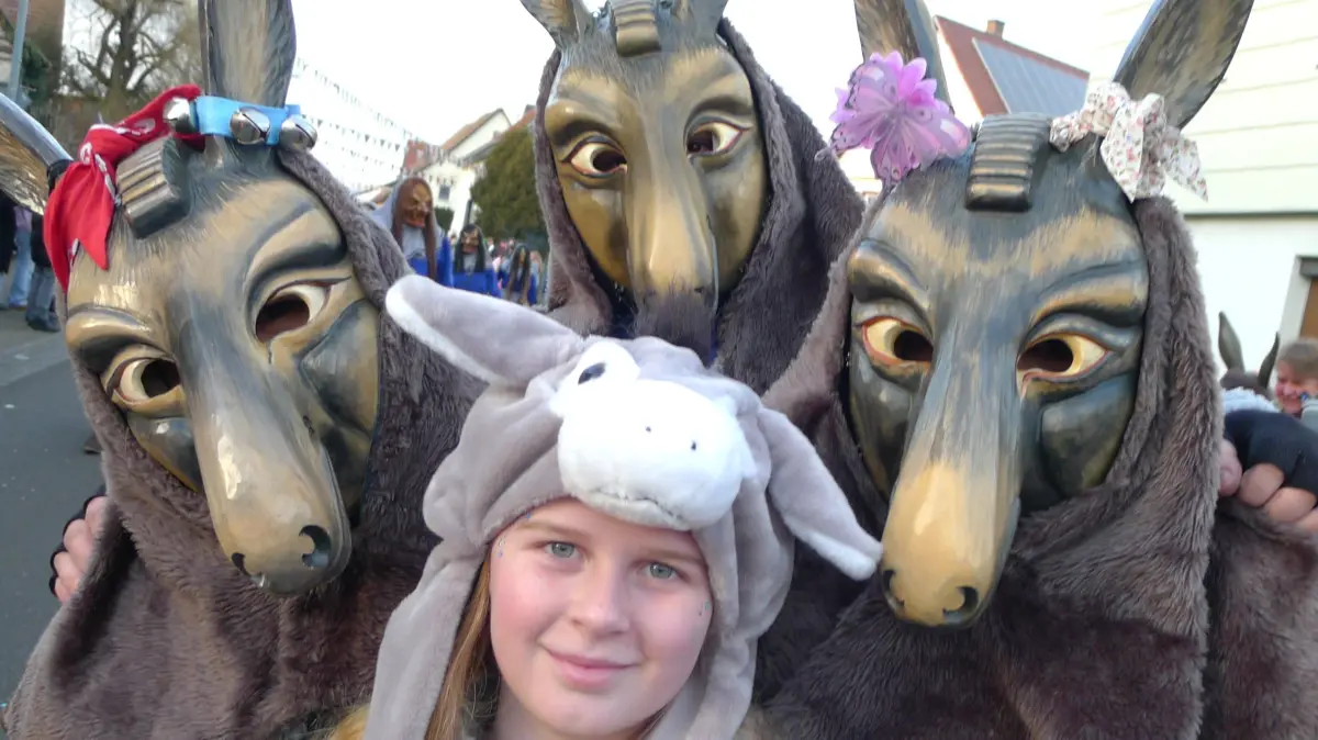 Neugierig spitzen die Obernauer Esel die Ohren.