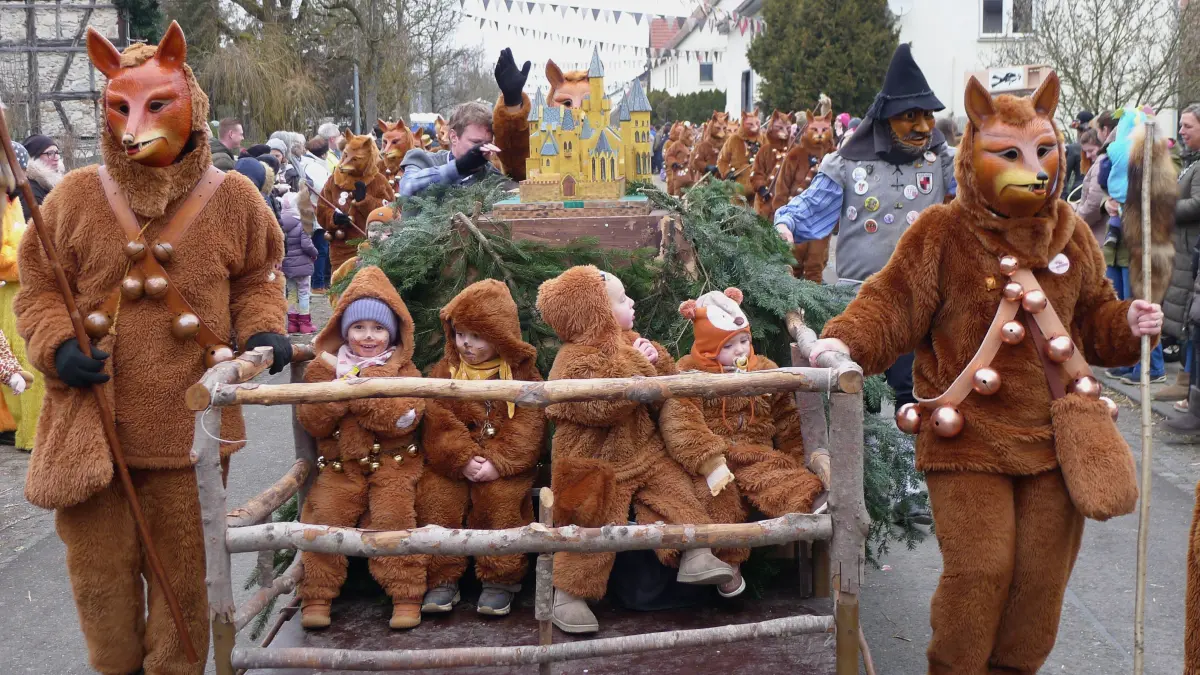 Die Owinger Füchse mit Fuchsbau und Nachwuchs vor der Burg Hohenzollern.