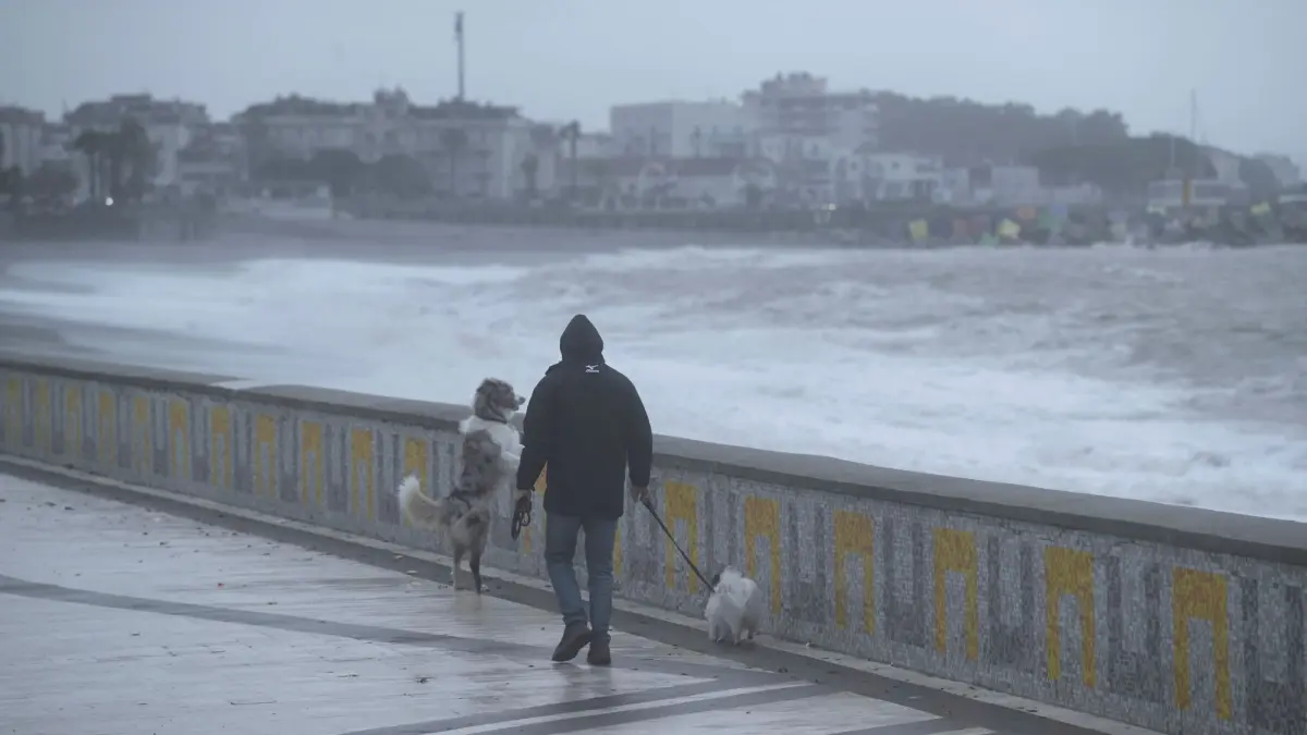 Wetter in Italien: 19.01.2026, Italien, Catanzaro Lido: Ein Mann geht bei stürmischem Wetter mit seinem Hund spazieren. Ein schwerer Sturm, der als Zyklon Harry bezeichnet wird, erreicht die ionische Küste in Catanzaro Lido. Foto: Valeria Ferraro/ZUMA Press Wire/dpa +++ dpa-Bildfunk +++
