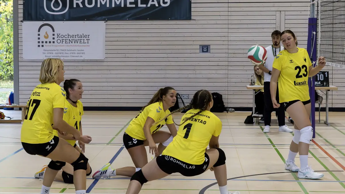 Volleyball Frickenhofen