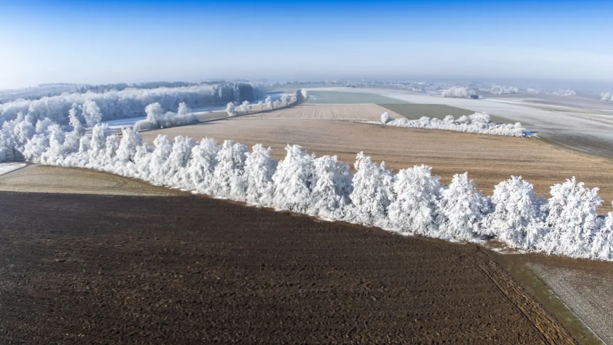 Ein kleiner Augenblick im Leben eines kleinen Lokalfotografen. Rauhreif auf der Alb
