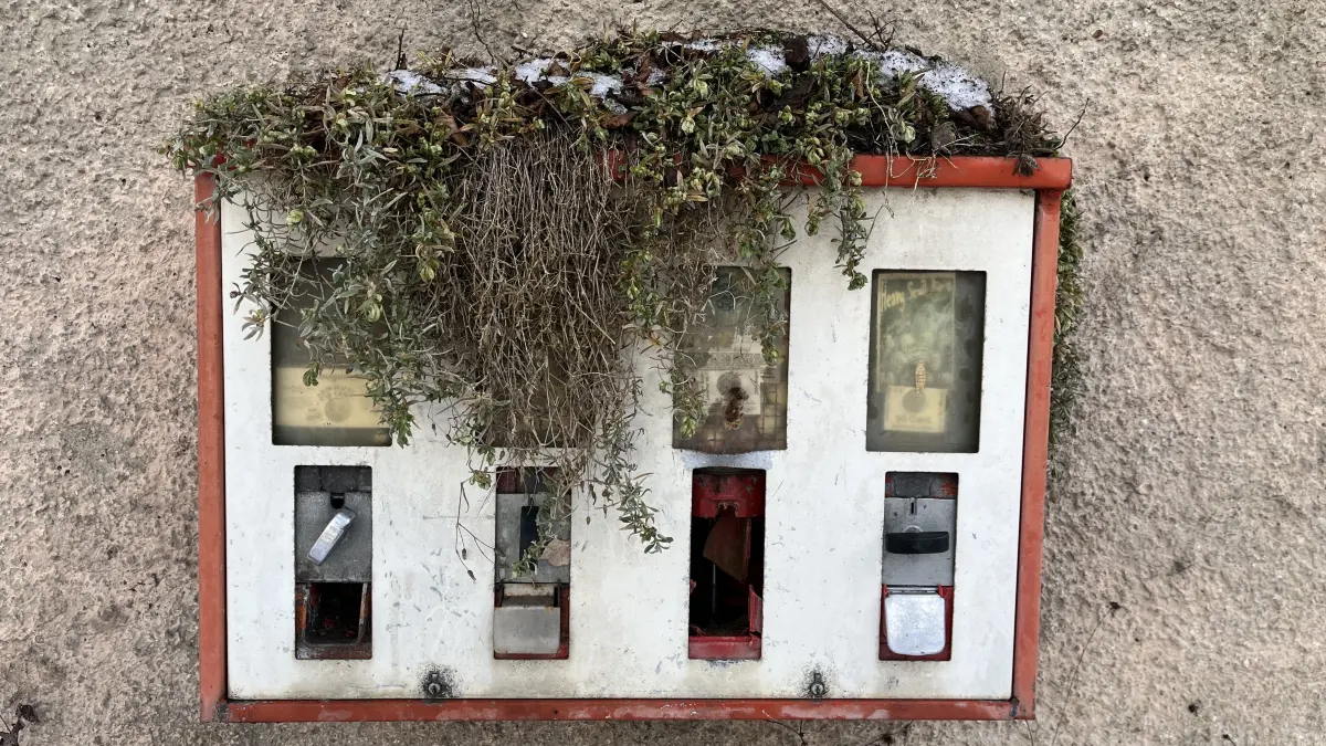 Kaugummiautomat in Hundersingen mit Dachbegrünung