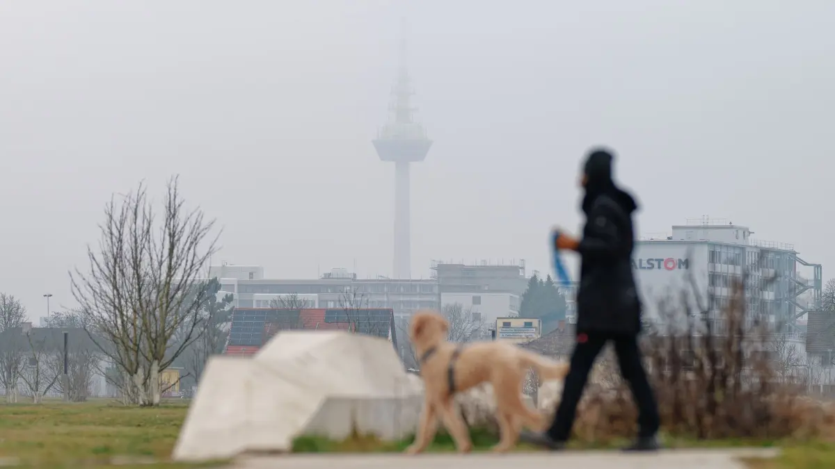 Wetter in Baden-Württemberg: 20.01.2026, Baden-Württemberg, Mannheim: Eine Frau geht mit einem Hund auf dem ehemaligen Gelände der Bundesgartenschau vor dem, im dichten Nebel liegenden Fernmeldeturm vorbei. Foto: Uwe Anspach/dpa +++ dpa-Bildfunk +++