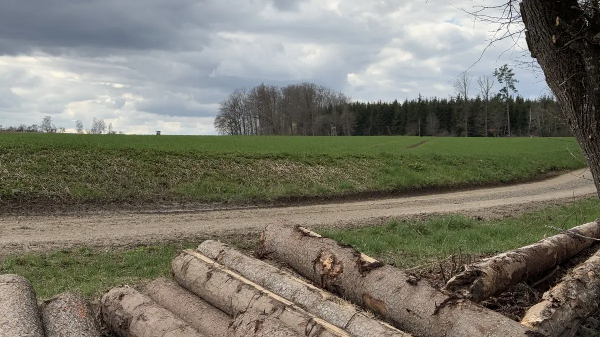 Auf dieser Fläche bei Grosselfingen wollten die Stadtwerke Stuttgart ursprünglich eine Windkraftanlage errichten.
