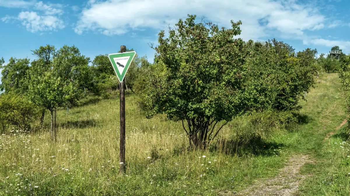 Teilweise ist der Steinenbger schon unter Schutz: Teilweise steht der Steinenberg schon unter Schutz