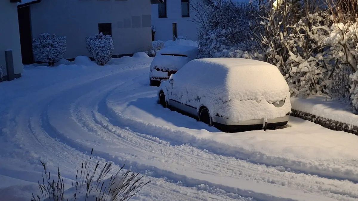 ´Schneechas 3 von 4o