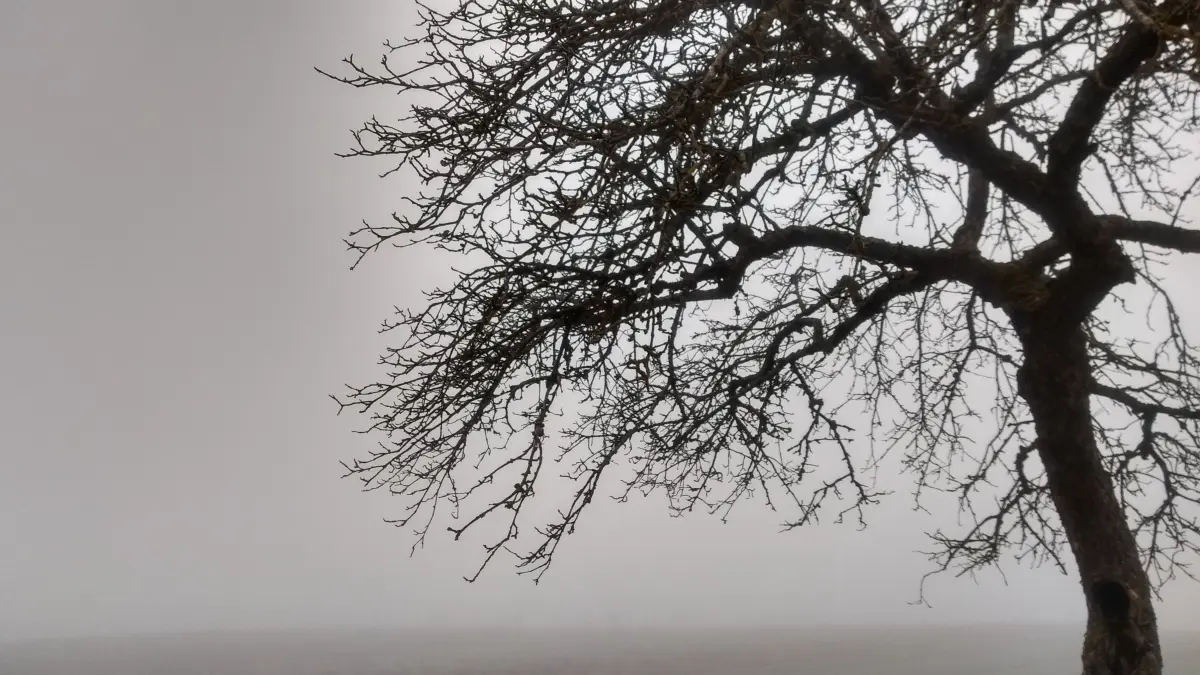 Depressionen sind wie graue Wolken, die sich lähmend über das Leben legen. „Trotz der Fortschritte in der Aufklärung gibt es immer noch viele Vorurteile und Stigmata, die Betroffene daran hindern, offen über ihre Erfahrungen zu sprechen“, sagt Jochen Schulz.