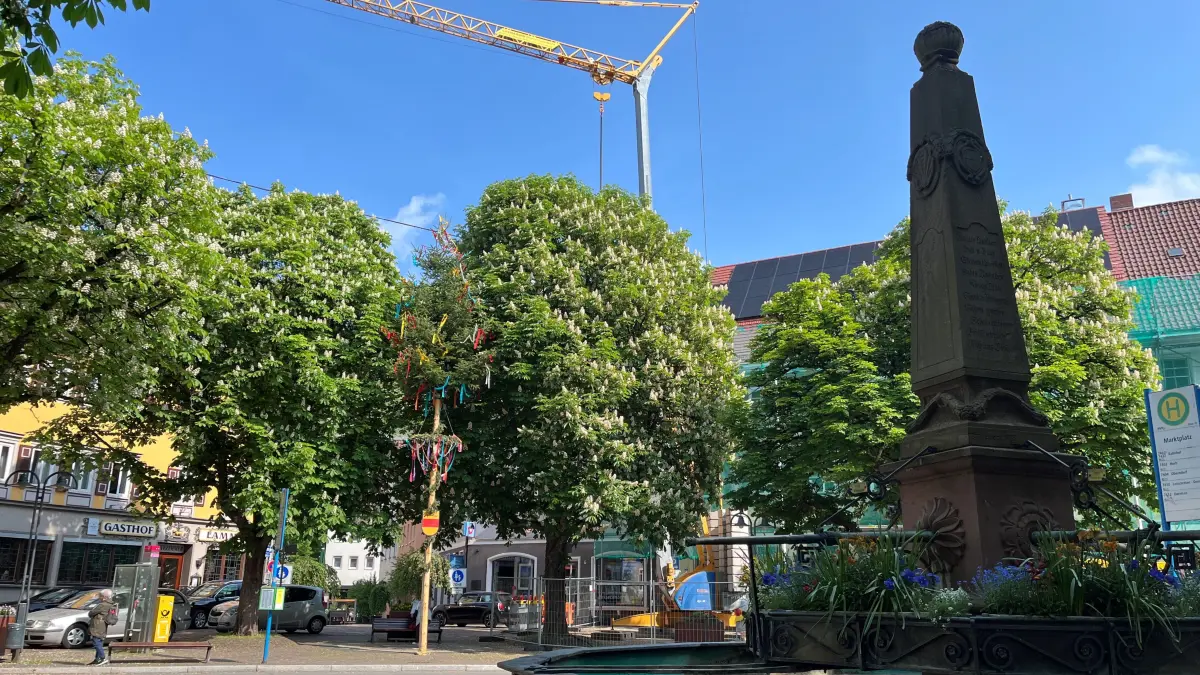 Die Rathaisdächer in Sulz sind mittlerweile mit PV-Anlagen versehen.