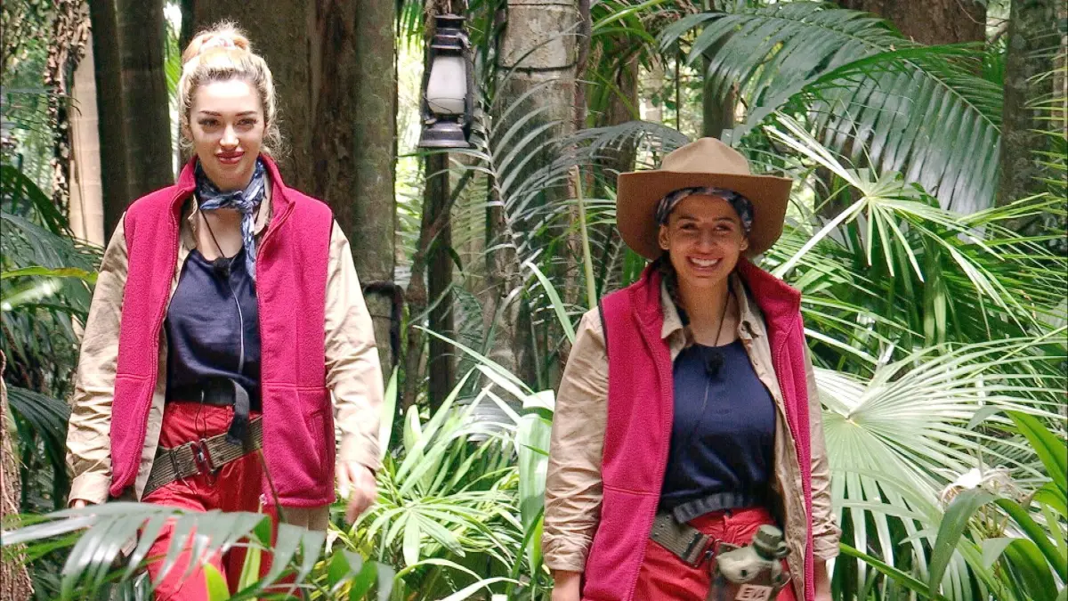 Das „Dschungelcamp“ läuft derzeit täglich auf RTL und RTL+.