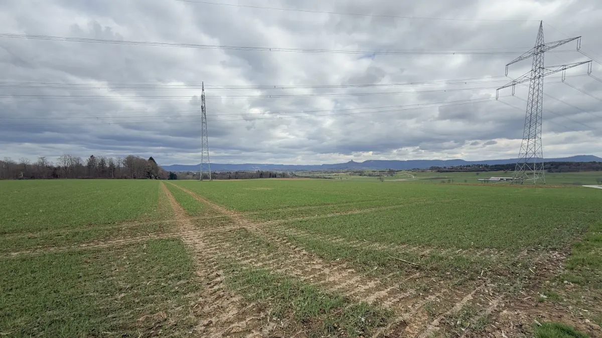 In diesem Bereich östlich der Stromtrasse bei Grosselfingen sollten laut ursprünglicher Planungen Windkraftanlagen entstehen. Windmessungen hatten jedoch ergeben, dass nicht genug Wind weht.