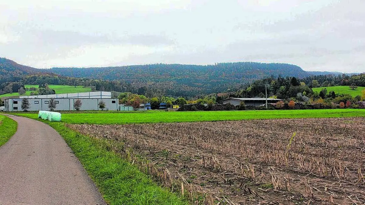 Vor den Toren der Gemeinde Jungingen, im Industriegebi8et Im Grieß möchte ein auswärtiger Investor groß bauen.