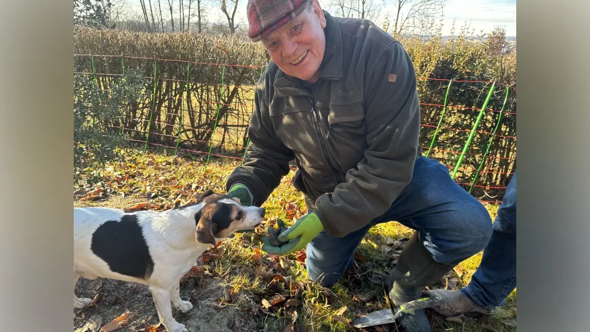 Karl-Heinz Klink erntet mit Hund Kalle Perigord Trüffel