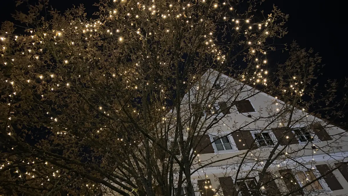 Die Lichterketten in den Bäumen am Crailsheimer Kralsplatz leuchten nicht nur zur Weihnachtszeit, sondern das ganze Jahr.