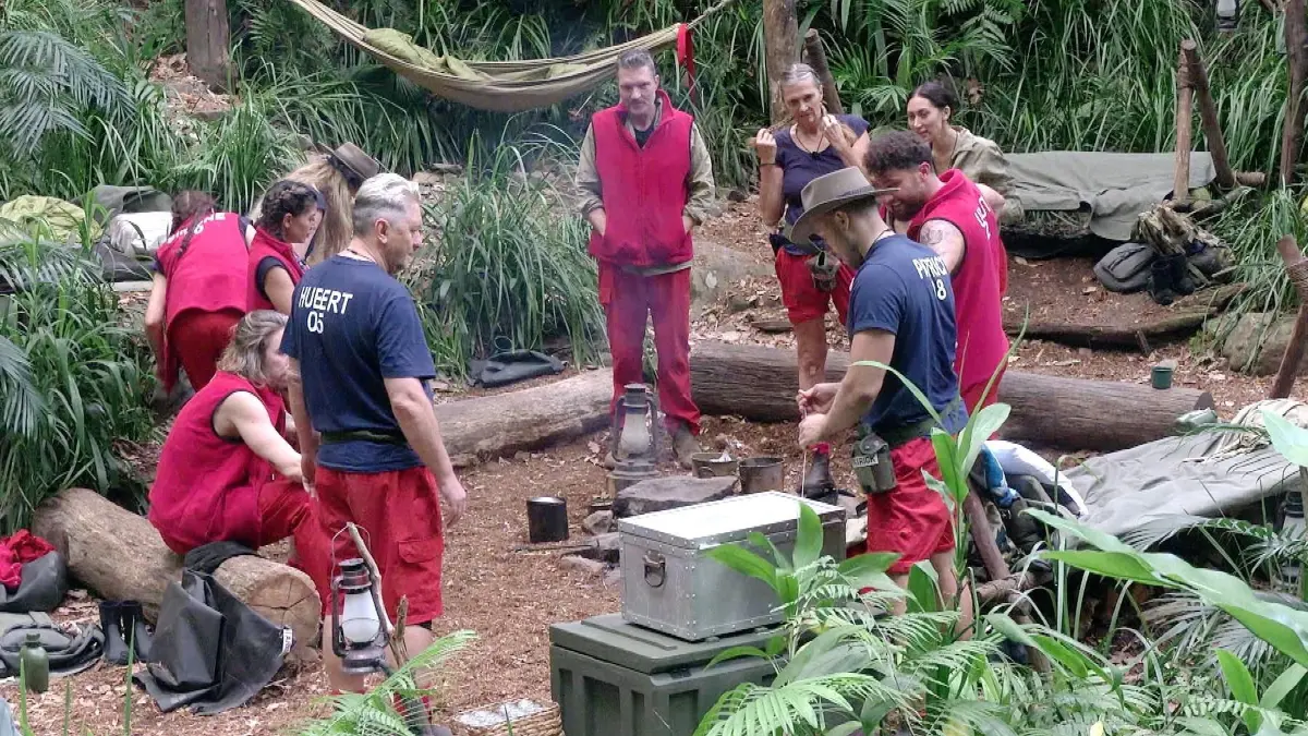 Die Promis kämpfen im „Dschungelcamp“ von RTL um 100.000 Euro. Doch nach und nach scheiden sie aus.