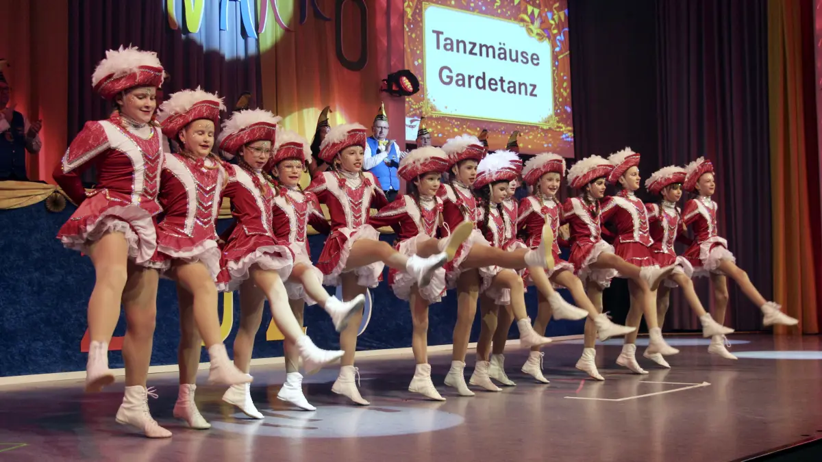Prunksitzung Bühlertann 2026, Tanzmäuse