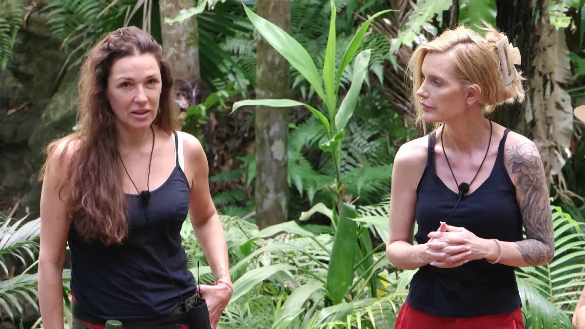 Die Promis kämpfen im „Dschungelcamp“ von RTL um 100.000 Euro. Doch nach und nach scheiden sie aus.