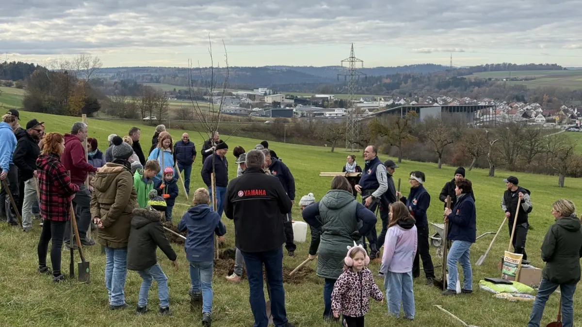Wie wird ein Baum richtig eingepflanzt? Das haben die Baumpaten im November auf dem Bisinger Berg erfahren. Anfang März 2026 folgen die Baumpatentaufe und die Übergabe der Urkunden.