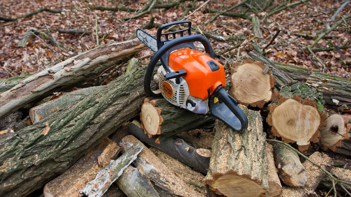 Motorsäge im Wald