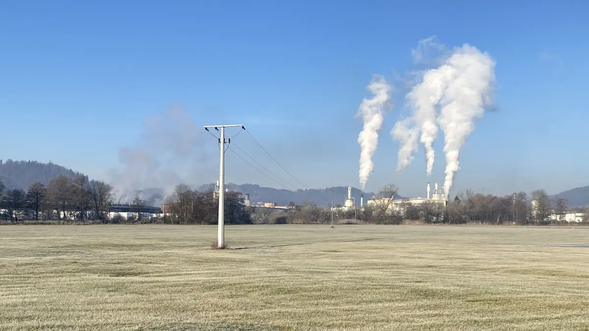 Erweiterung Binderholz Strietwiesen XI Bürgerentscheid