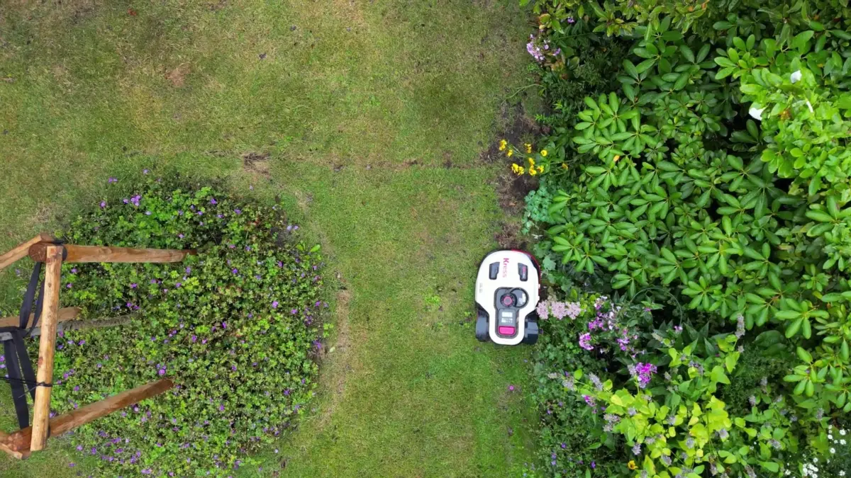 Igelschutz: Nachtfahrverbot für Mähroboter: ARCHIV - 05.09.2024, Nordrhein-Westfalen, Köln: Ein Mähroboter fährt durch einen Garten (Aufnahme mit Drohne). (zu dpa: «Igel in Gefahr – Streit um Schutz vor Bayerns Mährobotern») Foto: Sascha Thelen/dpa +++ dpa-Bildfunk +++