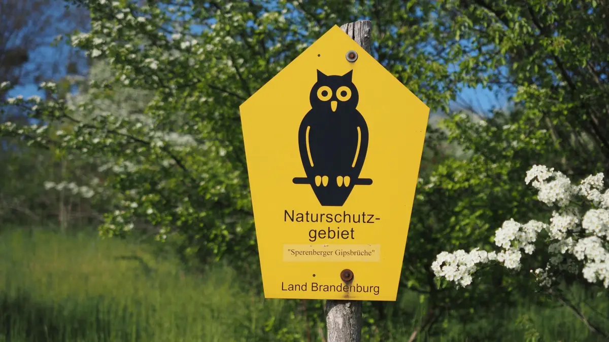 Naturschutz-Eule: ARCHIV - 09.05.2020, Brandenburg, Am Mellensee: Ein Schild mit stilisierter Eule weist auf das Naturschutzgebiet nahe der ehemaligen Sperenberger Gipsbrüche hin. Ein Rundwanderweg mit einer Länge von knapp drei Kilometern führt an der Bruchkante des früheren Gipstagebaus entlang zum Aussichtsturm und mit etwa 80 Metern höchsten Punkt der Gegend. Gips wurde in Sperenberg seit dem 12. Jahrhundert und bis 1958 abgebaut und hat hier mehrere Seen hinterlassen. Unter Naturschutz stehen die Brüche seit 1998. (zu dpa: «Umweltverbände bangen um Klimaplan») Foto: Soeren Stache/dpa-Zentralbild/dpa +++ dpa-Bildfunk +++
