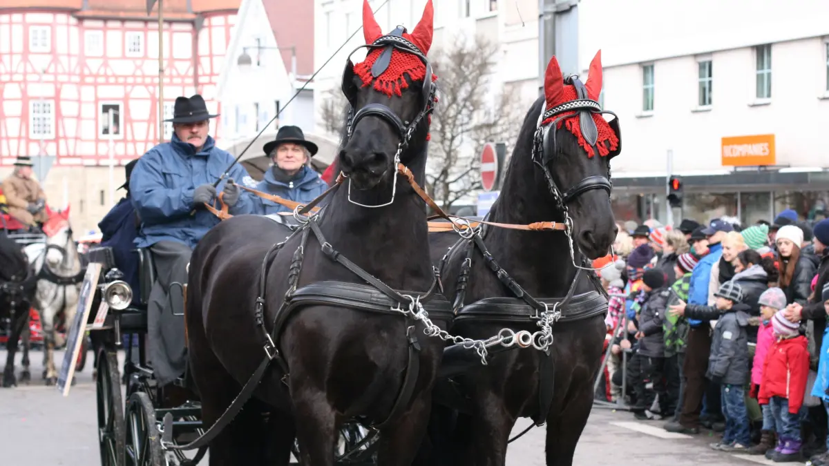Pferdemarkt 2013: Der Pferdemarkt 2013 in Gaildorf. Hier: Bilder vom Umzug