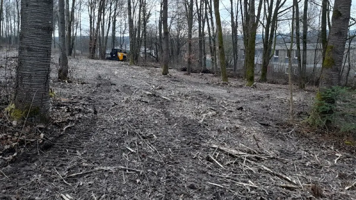 Arbeiten Wald Reichenhalden Empfingen