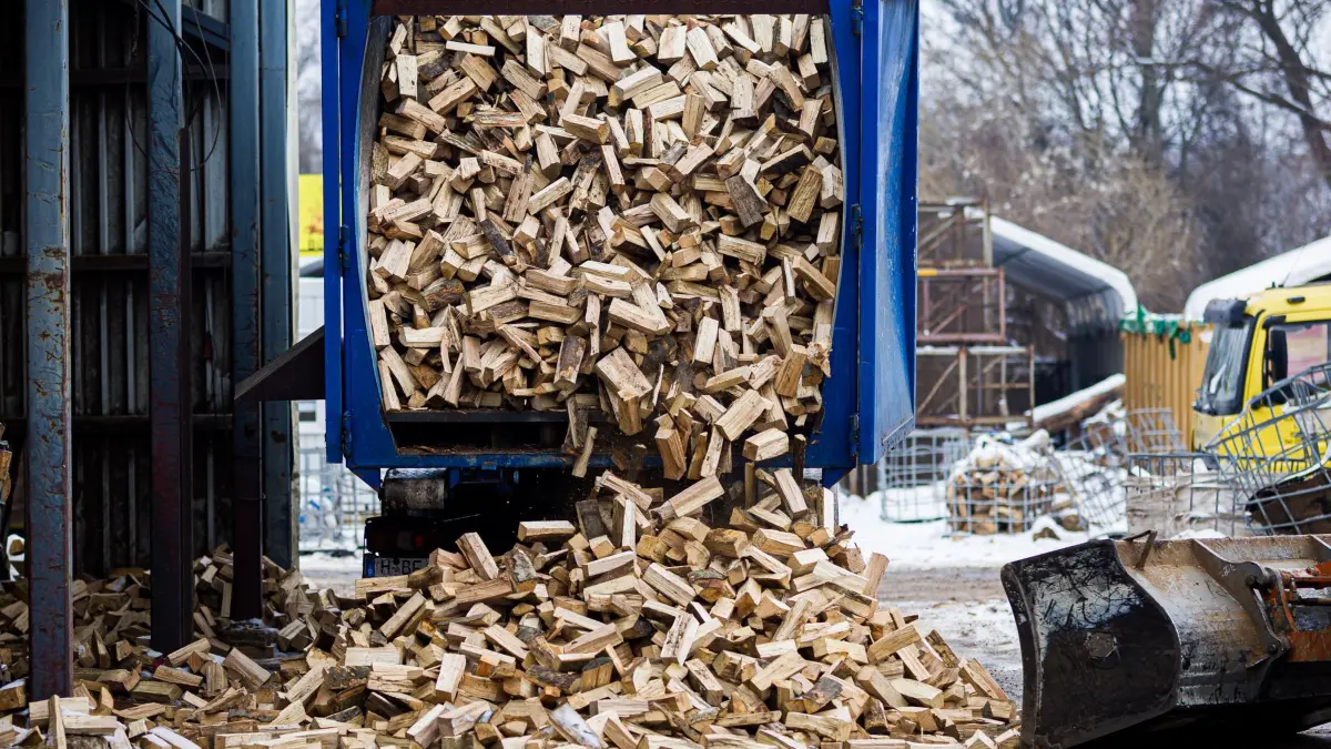 Brennholzhandel: 05.02.2026, Niedersachsen, Hannover: Ein Muldenkipper entlädt Holzscheite auf dem Hof eines Brennholzhandels. (zu dpa: «Wird Brennholz knapp? Was Verbraucher jetzt wissen sollten») Foto: Moritz Frankenberg/dpa +++ dpa-Bildfunk +++
