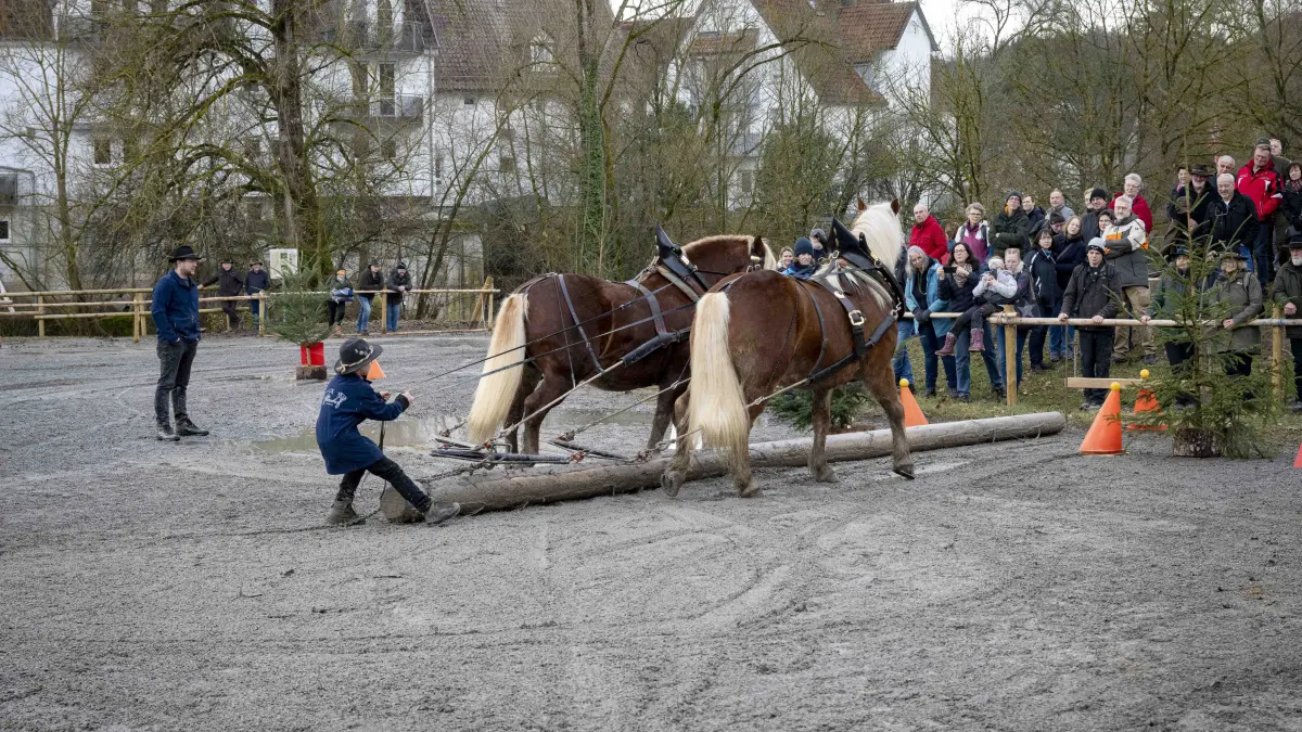 Gaildorfer Pferdemarkt 2026 Ross und Forst Hozrücken Kocherwiese