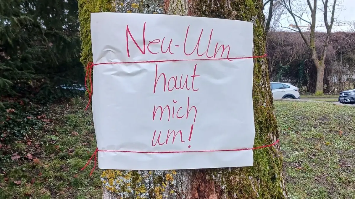 Acht große Bäume und weitere kleine Bäume sollen in Neu-Ulm für die Verlegung des Radwegs an der Donau gefällt werden. Dagegen regt sich Widerstand.