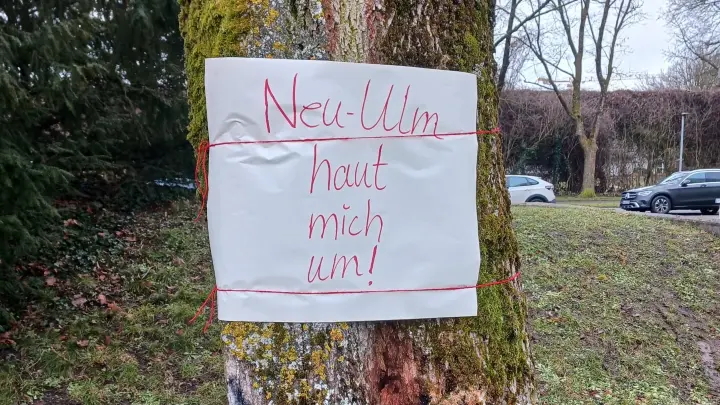 Geplante Baumfällungen für Donauweg rufen Empörung hervor