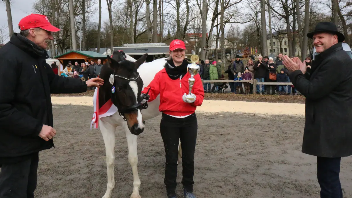 Pferdemarkt Gaildorf 2026, Stutenprämierung auf den Kocherwiesen