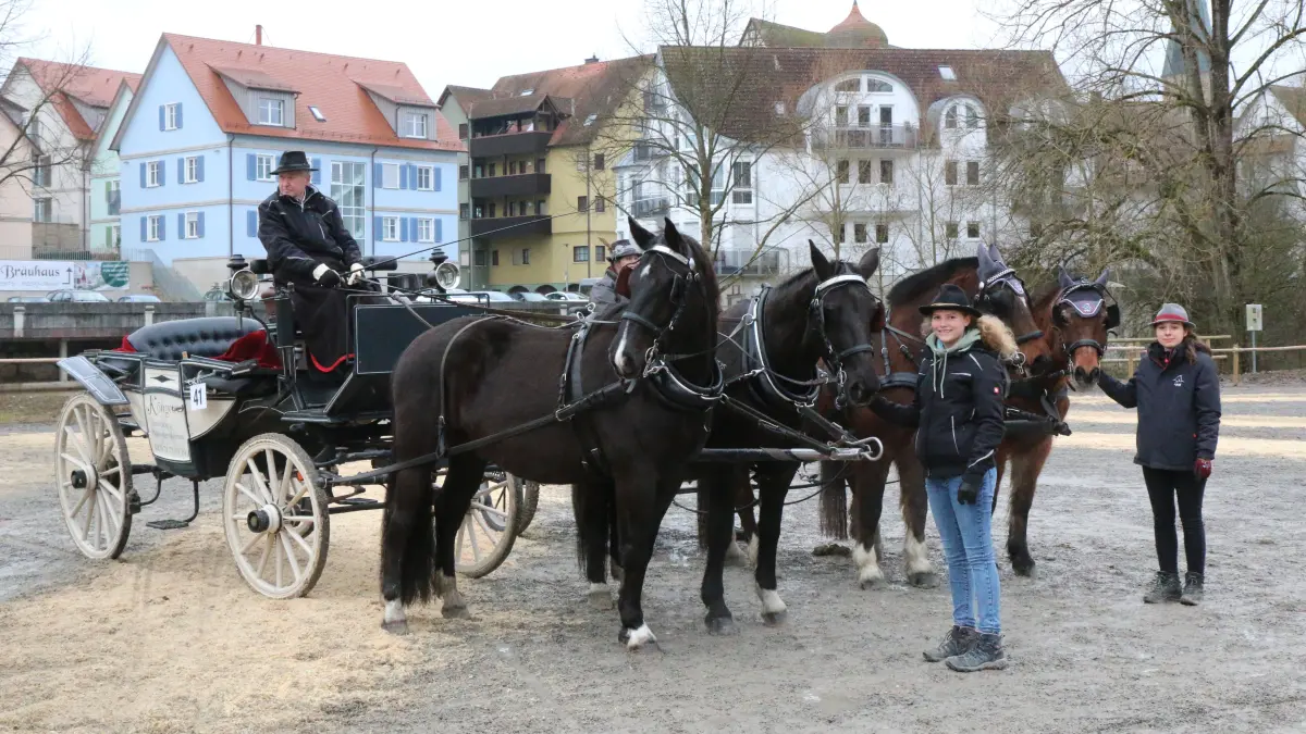 Gespannprämierung auf dem Gaildorfer Pferdemarkt 2026 am Montagvormittag