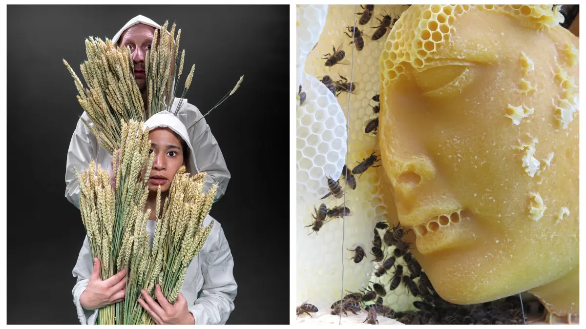 Museum Brot und Kunst Ulm: Von Schwärmen schwärmen – Ausstellungen und ...