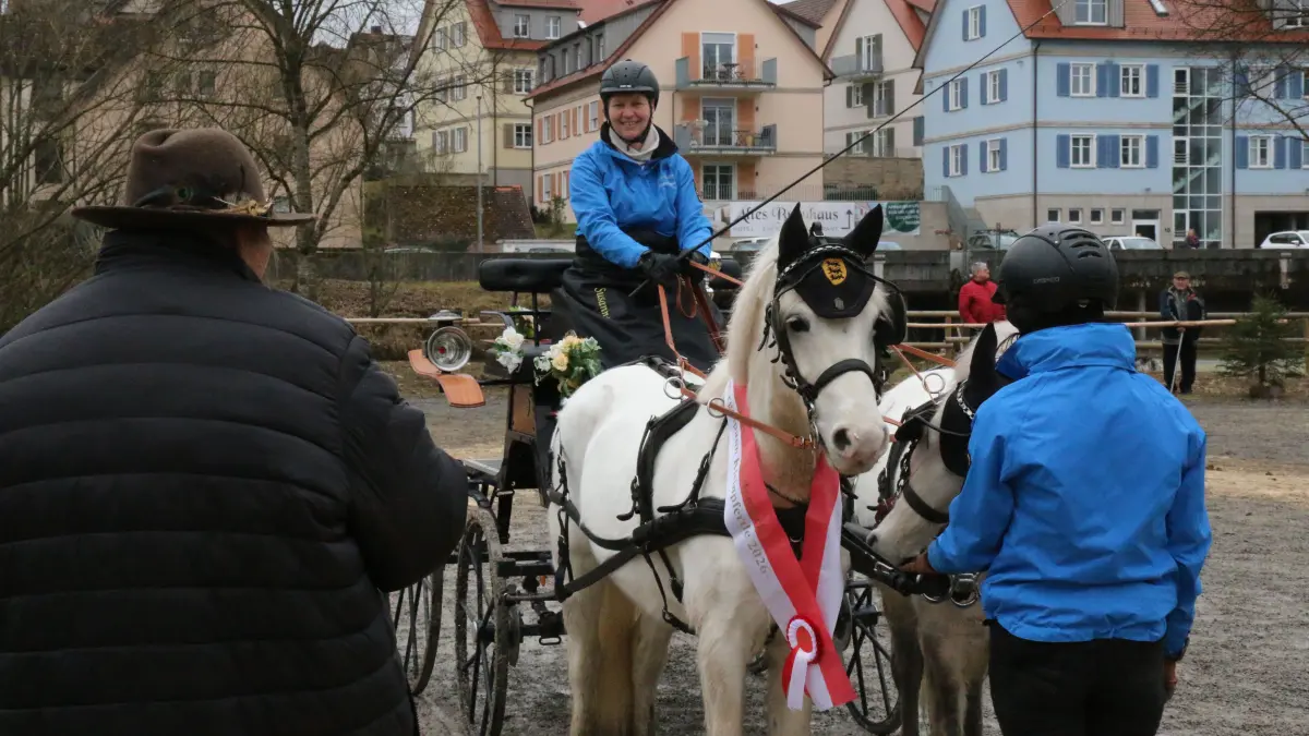 Gespannprämierung auf dem Gaildorfer Pferdemarkt 2026 am Montagvormittag