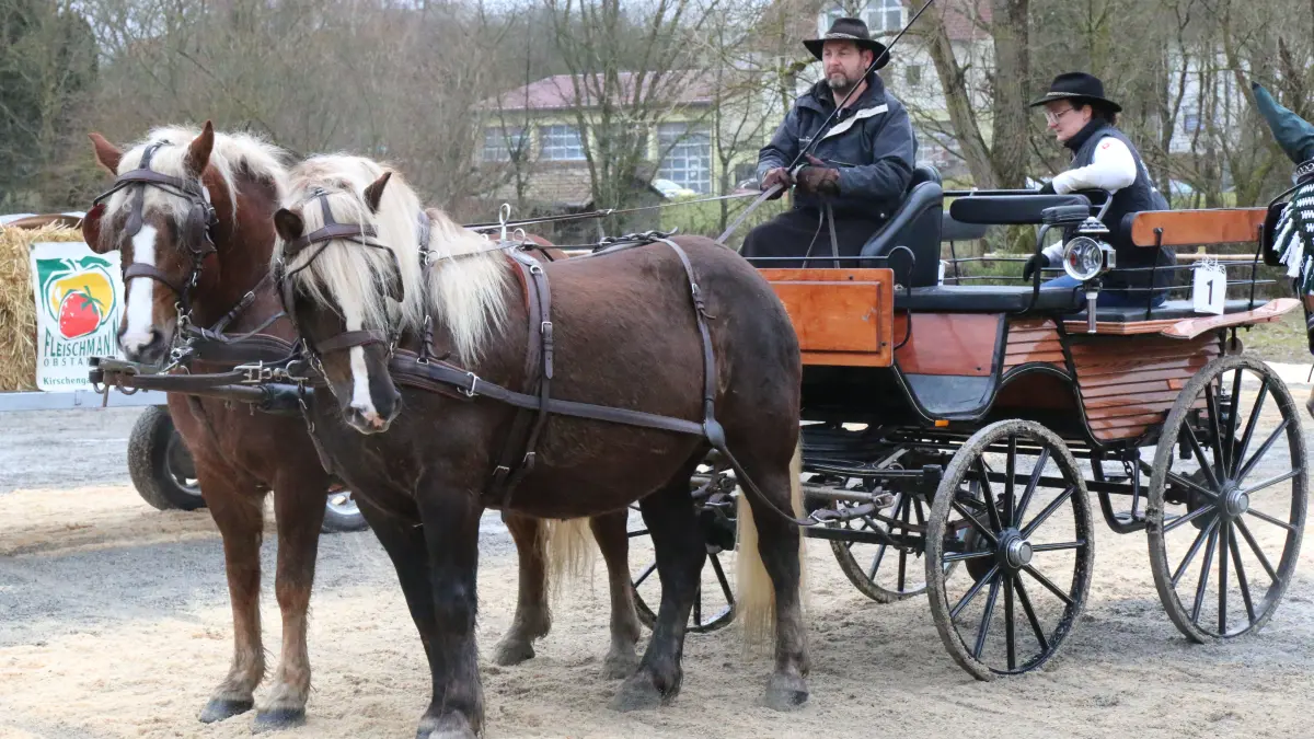 Gespannprämierung auf dem Gaildorfer Pferdemarkt 2026 am Montagvormittag